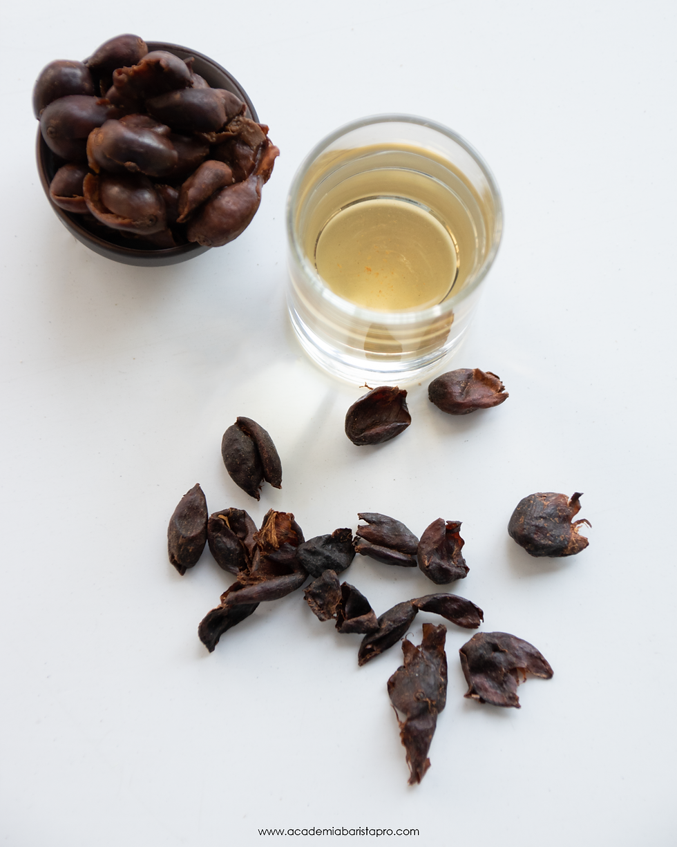 Thumbnail: Cáscara Rume Sudan 2oz/56grms