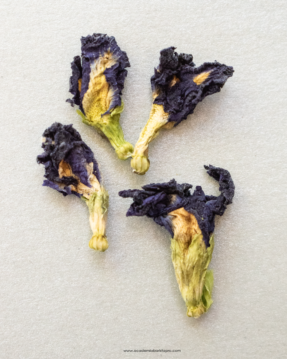 Thumbnail: Butterfly Blue Pea Flower