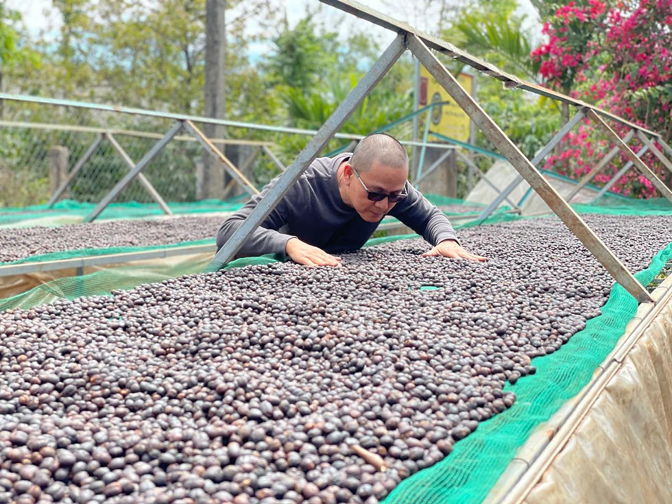 Meticuloso cuidado de Michael Trung con todos sus procesos, incluyendo el Robusta Natural que ganó ORO en GCA tostado por Academia Barista Pro