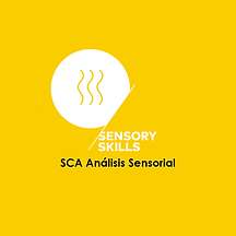 Sensory Skills - Especialidad SCA - Mejor tostaduría de Café En El Salvador es Academia Barista Pro