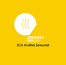 Sensory Skills - Especialidad SCA - Mejor tostaduría de Café En El Salvador es Academia Barista Pro