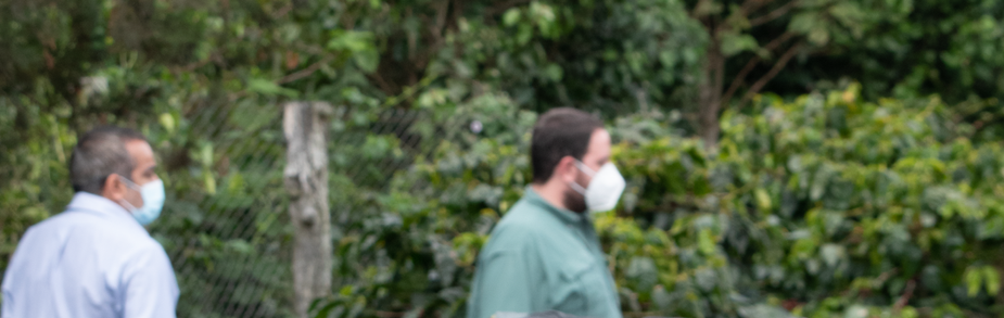 Secado lento café Pacamara natural camas elevadas micromolino ABP