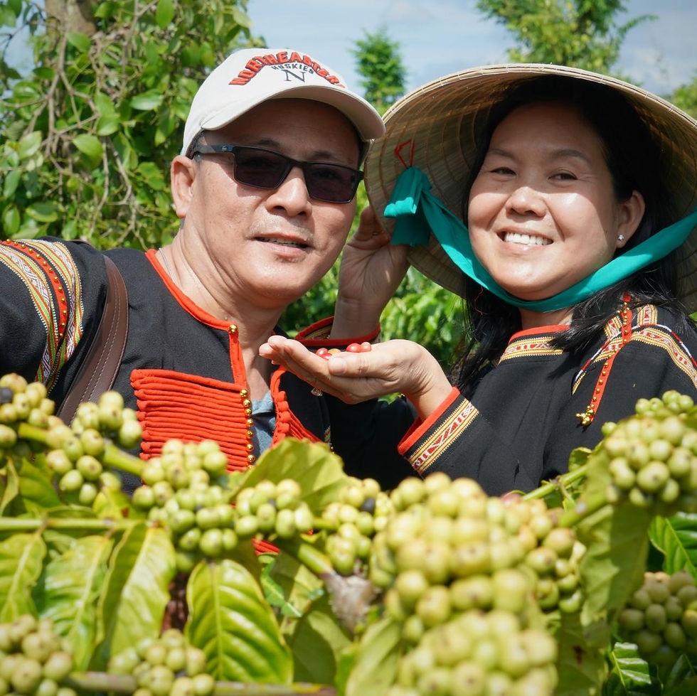 Michael Trung y su esposa Joanne Nguyet entre un alto productivo árbol de café robusta en Vietnam