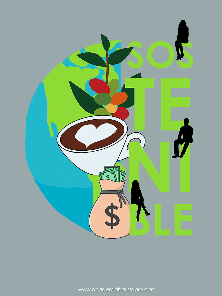 SCA Sustainability in Coffee Class ONLINE