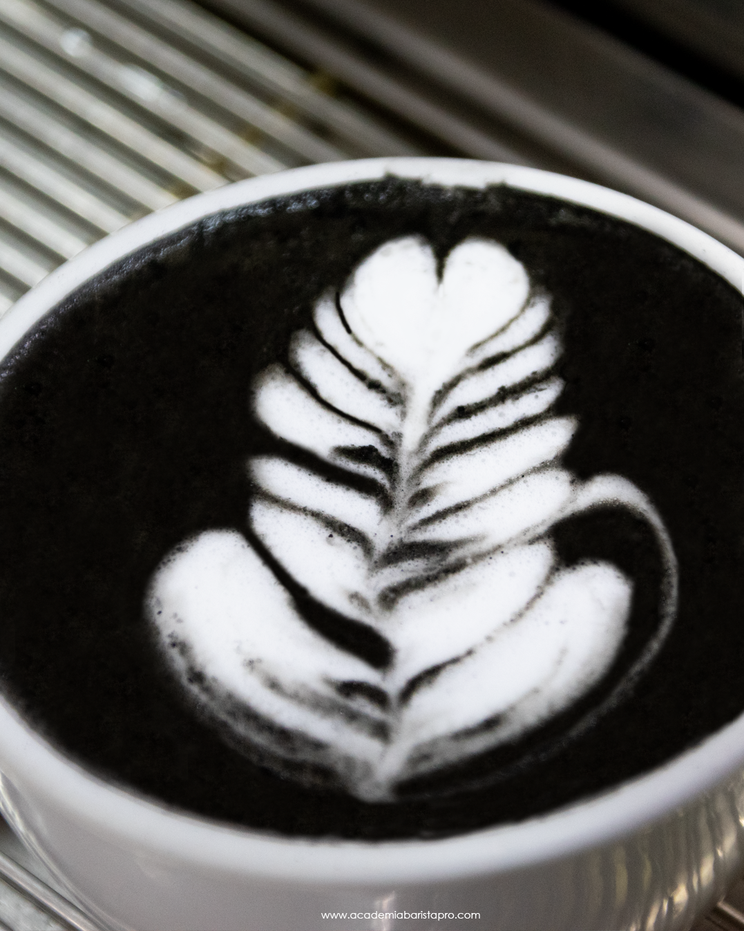 Carbón Activado Culinario