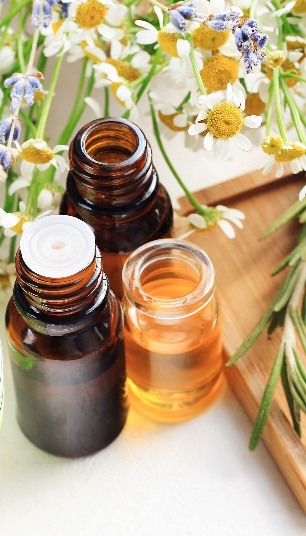 oils at Karen's Holistic Haven