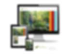 Karen Malkin website concept