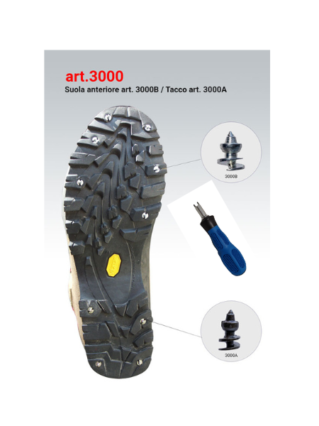 Miniatura: ART. 3000