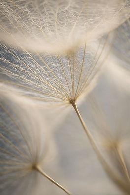 préparation à la naissance naturelle