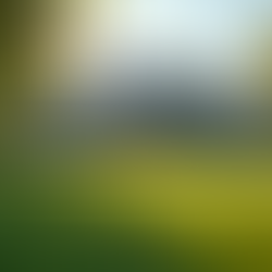 Essential Guide to No Upfront Cost Emergency Repairs with 12 Months No Payments No Interest