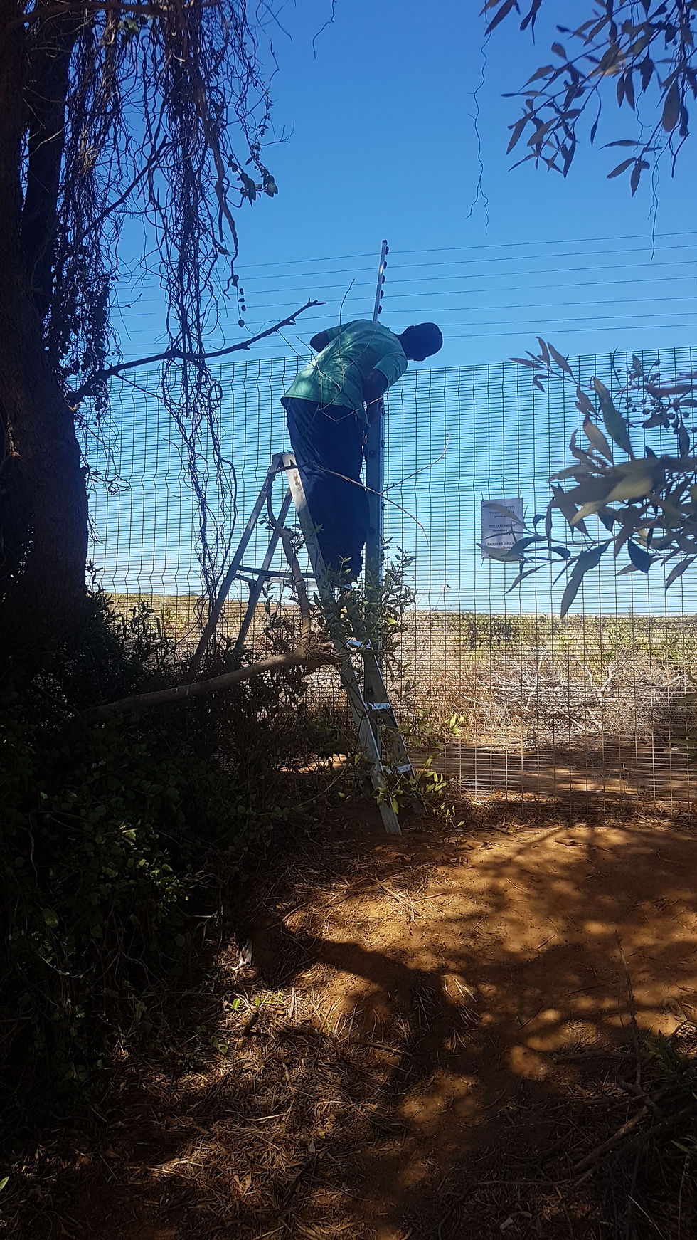 Thumbnail: 30 strand Electric Fence