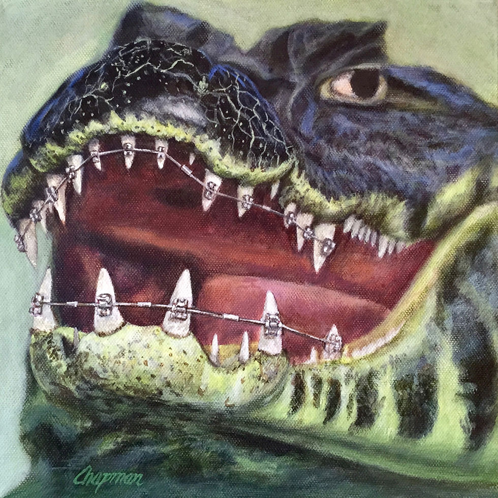 Thumbnail: Gator grin. Smiling Alligator with Mouth Full of Braces.