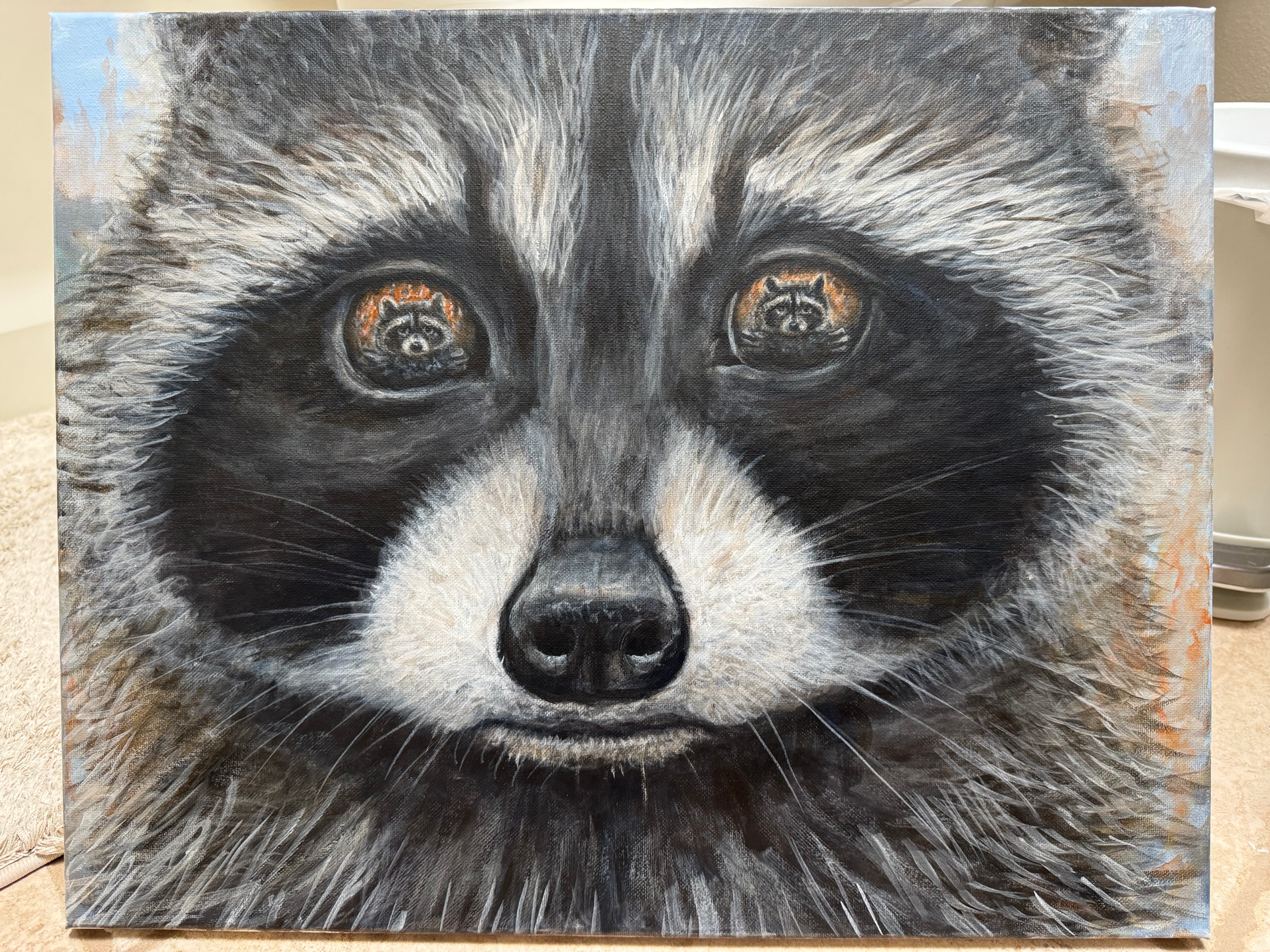 Raccoon Kip’s last look at mom reflection in his eyes of his mother original