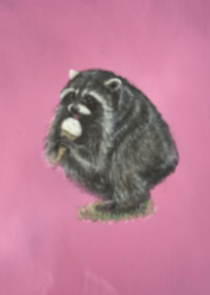 Jimothy raccoon eating an ice cream cone mauve background