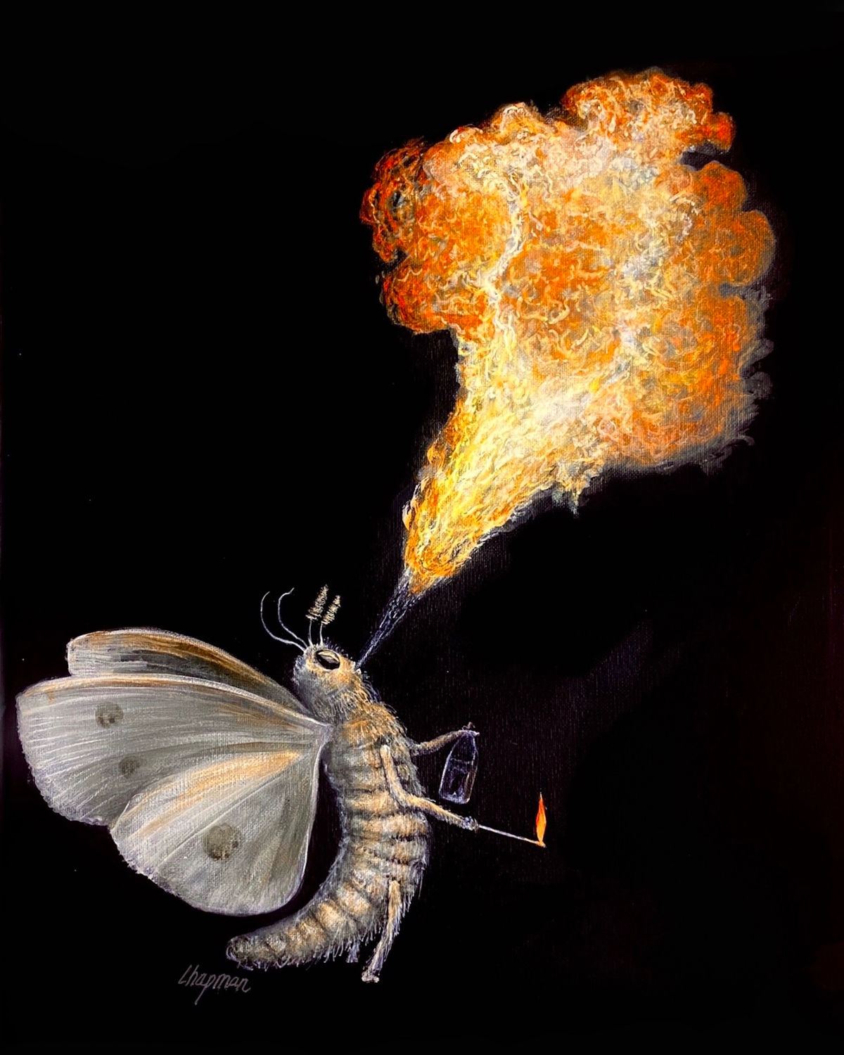 Moth breathing fire alcohol, and flame with black background, moth spits fire