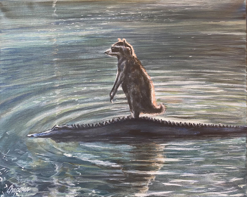 Cute Raccoon riding on the back of a gator, cruising through the swamp
