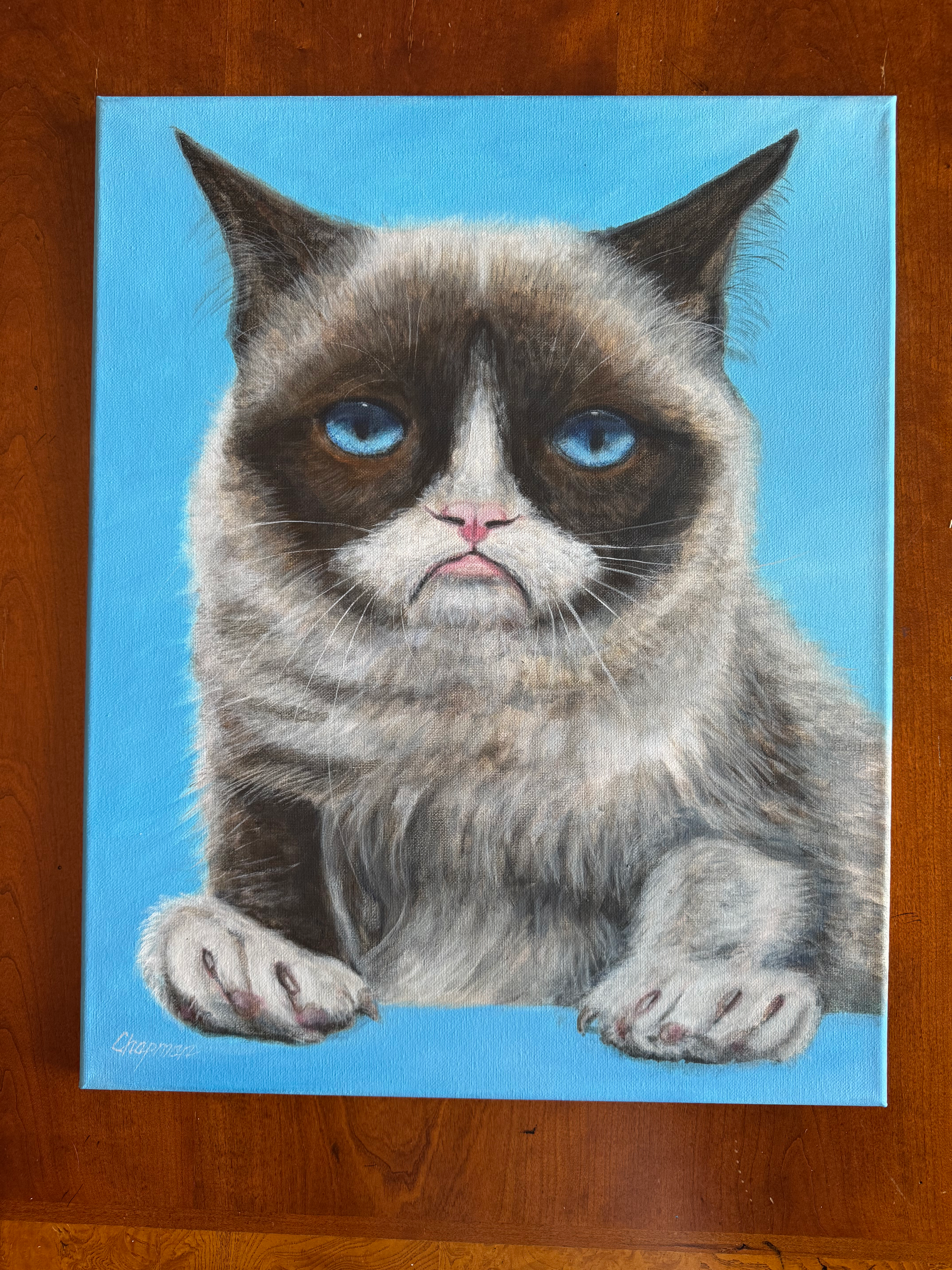 Angry dismissive cat with blue eyes blue background original