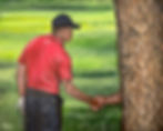 Golfer Shakes Hands With Tree at the Golf Course.