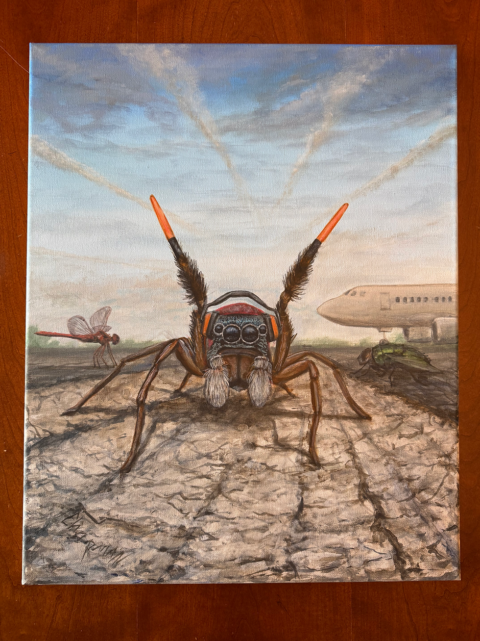 Thumbnail: Jumping spider working at the airport, directing planes, with earmuff original