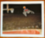 Michael Jordan jumping spider with red head.