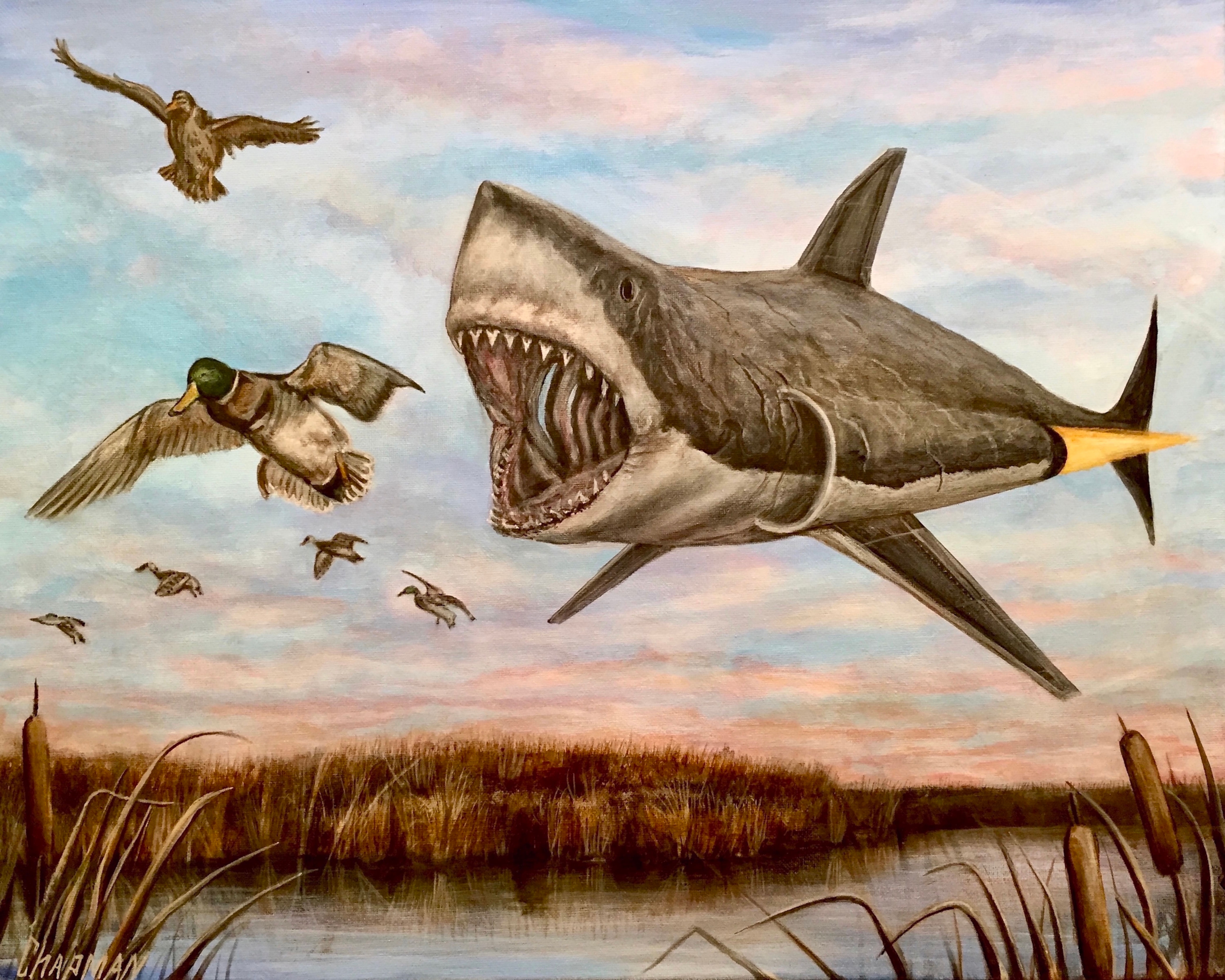 My federal duck stamp art entry. Jet shark attacks ducks.