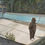 Thumbnail: Pablo Escobear standing in a pool, gazing with tennis shoes, sad bear