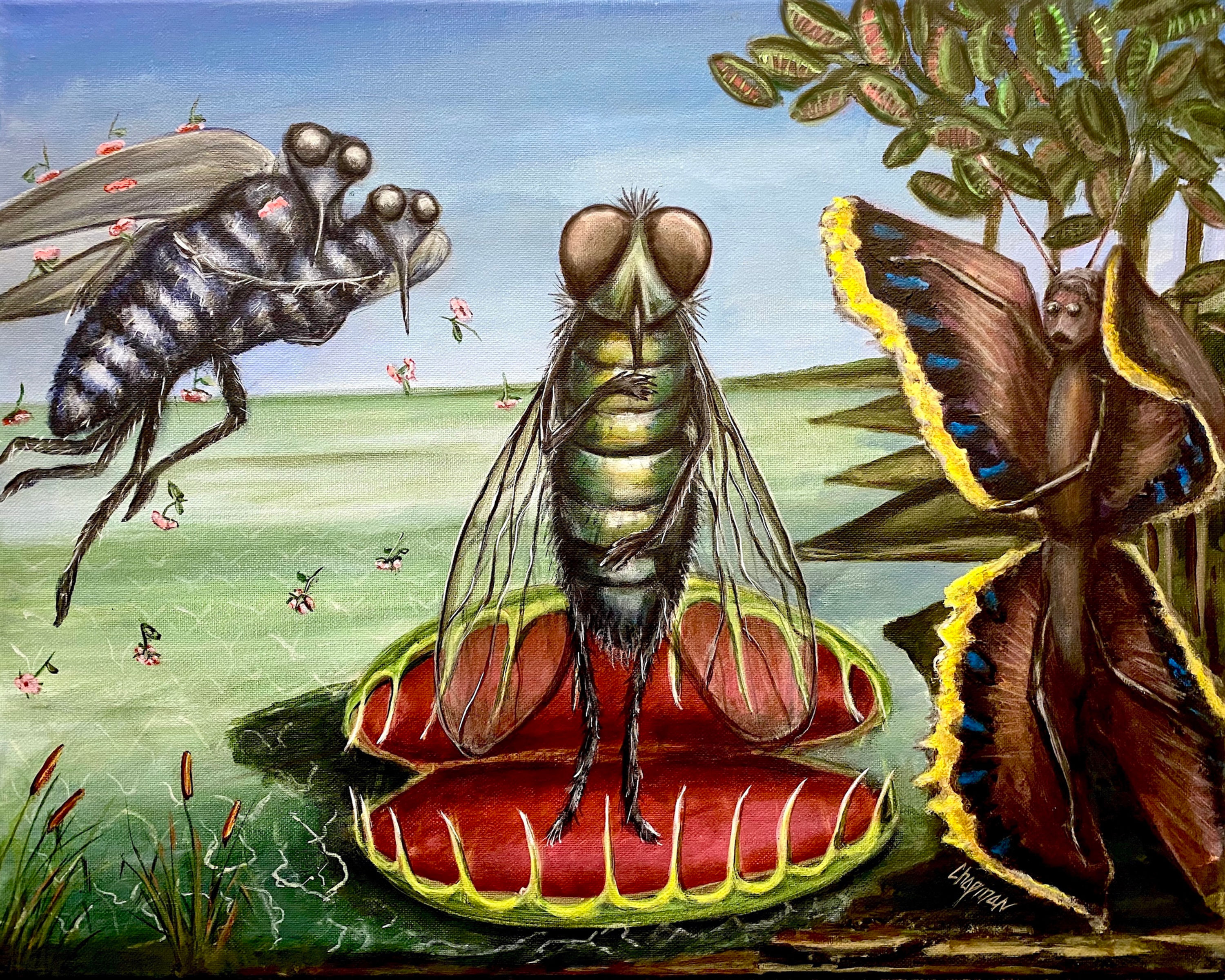 The birth of Venus fly trap. Housefly in a Venus fly trap Botticelli inspired.