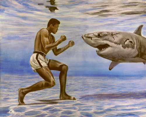 Muhammad Ali versus great white shark. | Travis Chapman Art