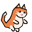 dancing cat