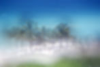 MIAMI_0009.jpg