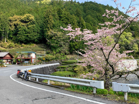 Kawane_cycle.jpg