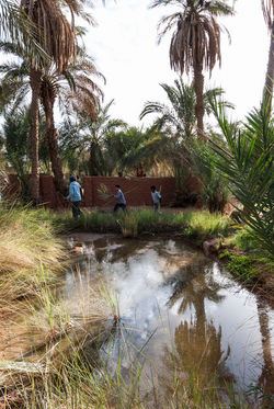 Philippe Freund Photographe