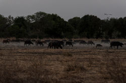 Philippe Freund Photographe