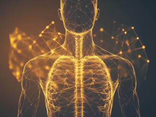 Körper, Geist & Seele im Einklang. Unsere Nervensystem-Regulation als Schlüssel