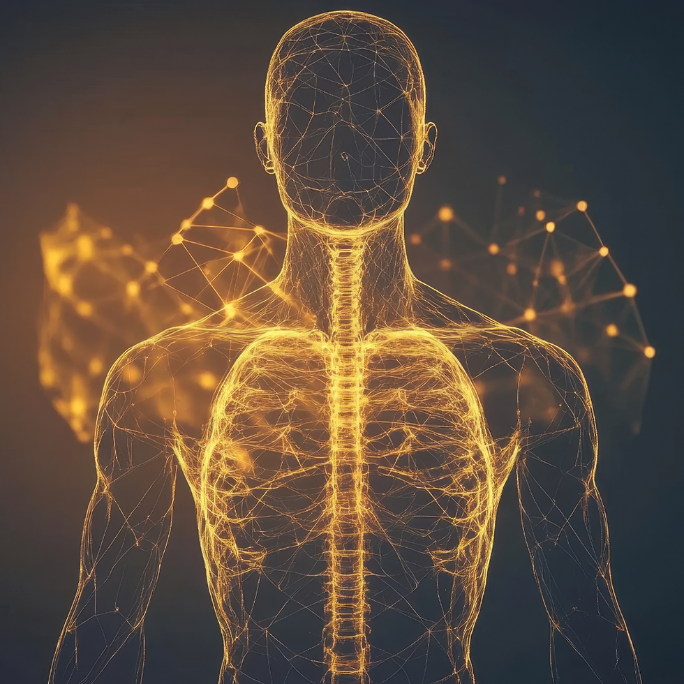 Nervensystem Vagusnerv