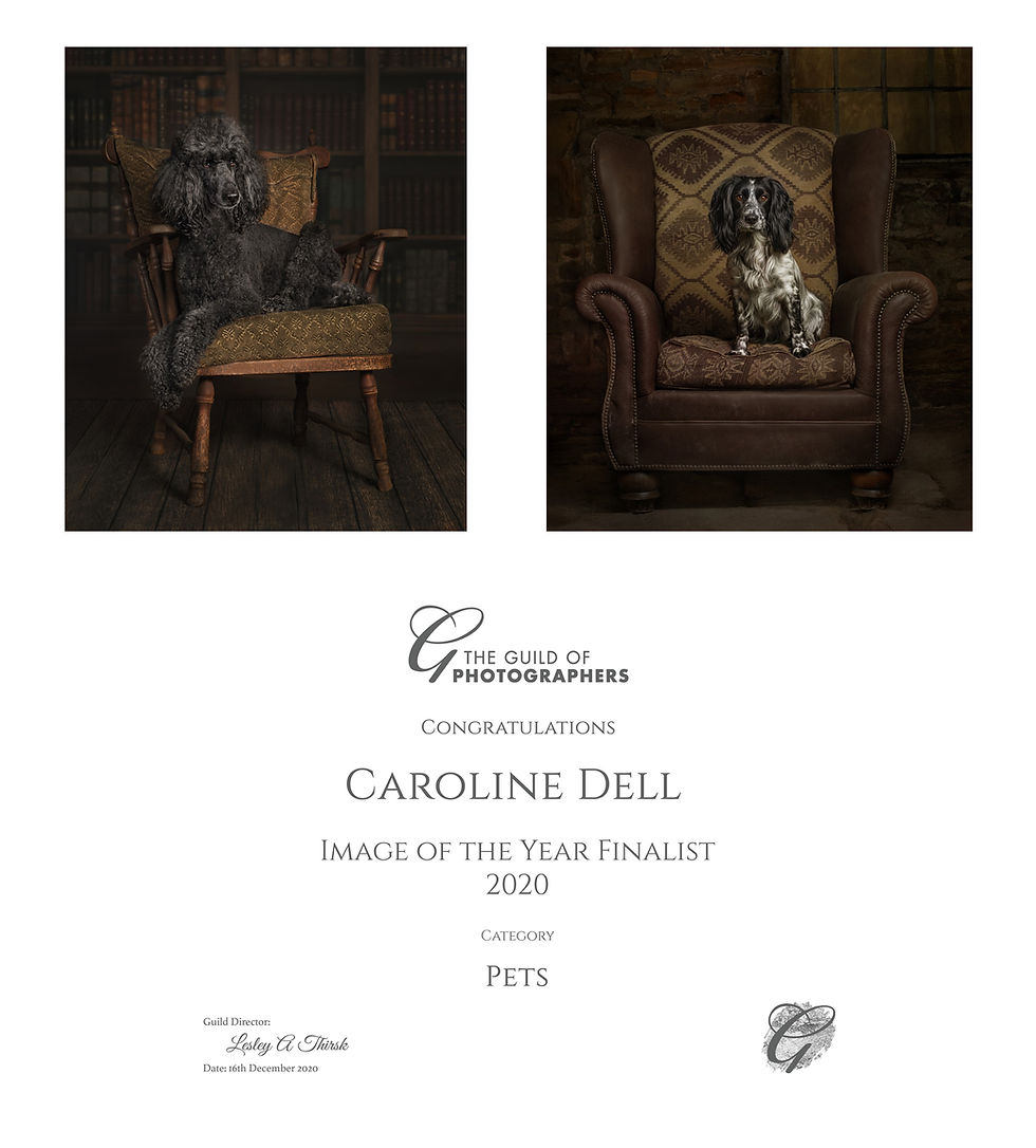 nomination for Image of the Year finalist 2020 in the pets catergory.
