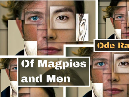 Of Magpies & Men - book tour