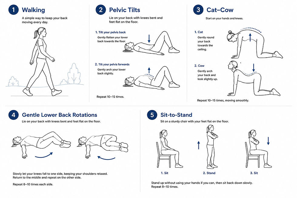 Illustration of safe exercises to help improve back mobility and reduce stiffness.