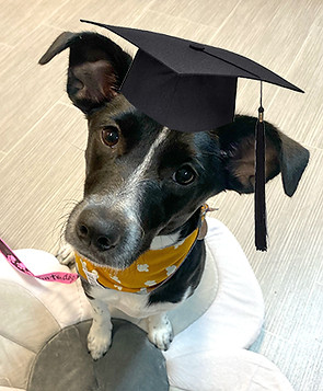 grad pic web.jpg