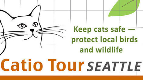 Catio Tour Seattle 2025