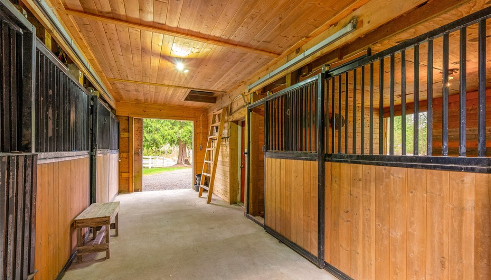 Motley Zoo Woods Creek Kennels Property Overview