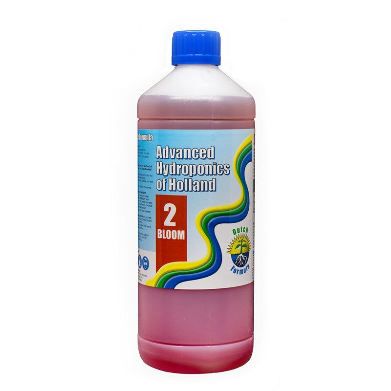 Thumbnail: Aoh Dutch 2 Bloom