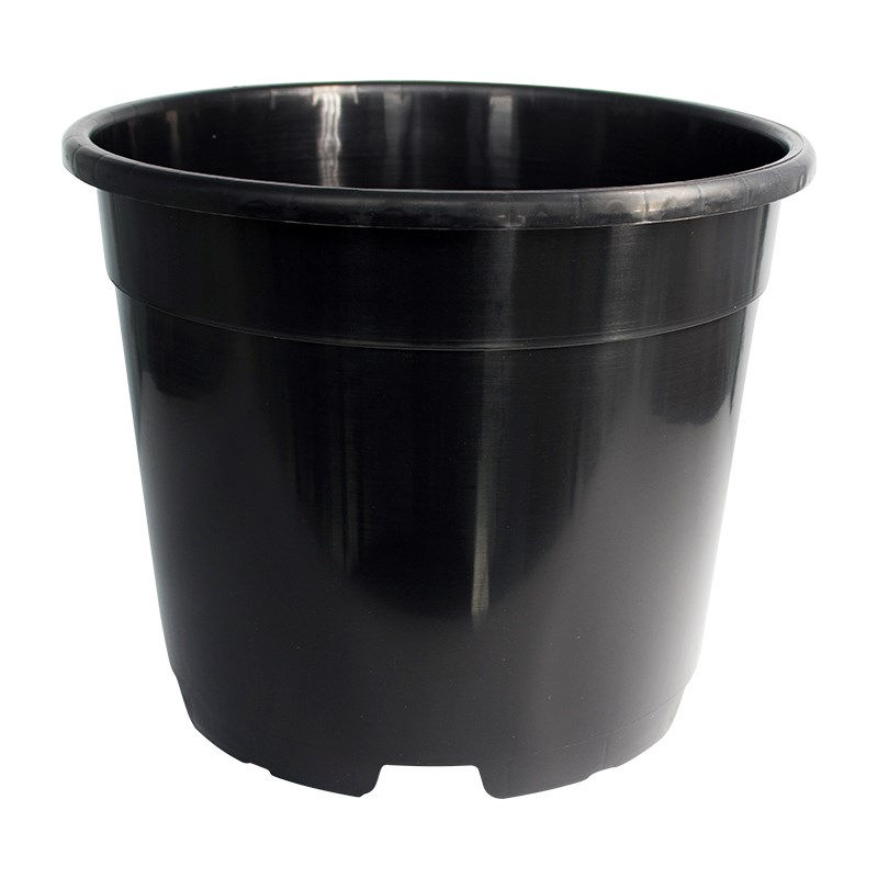 Thumbnail: Round Pots (Pack of 10)