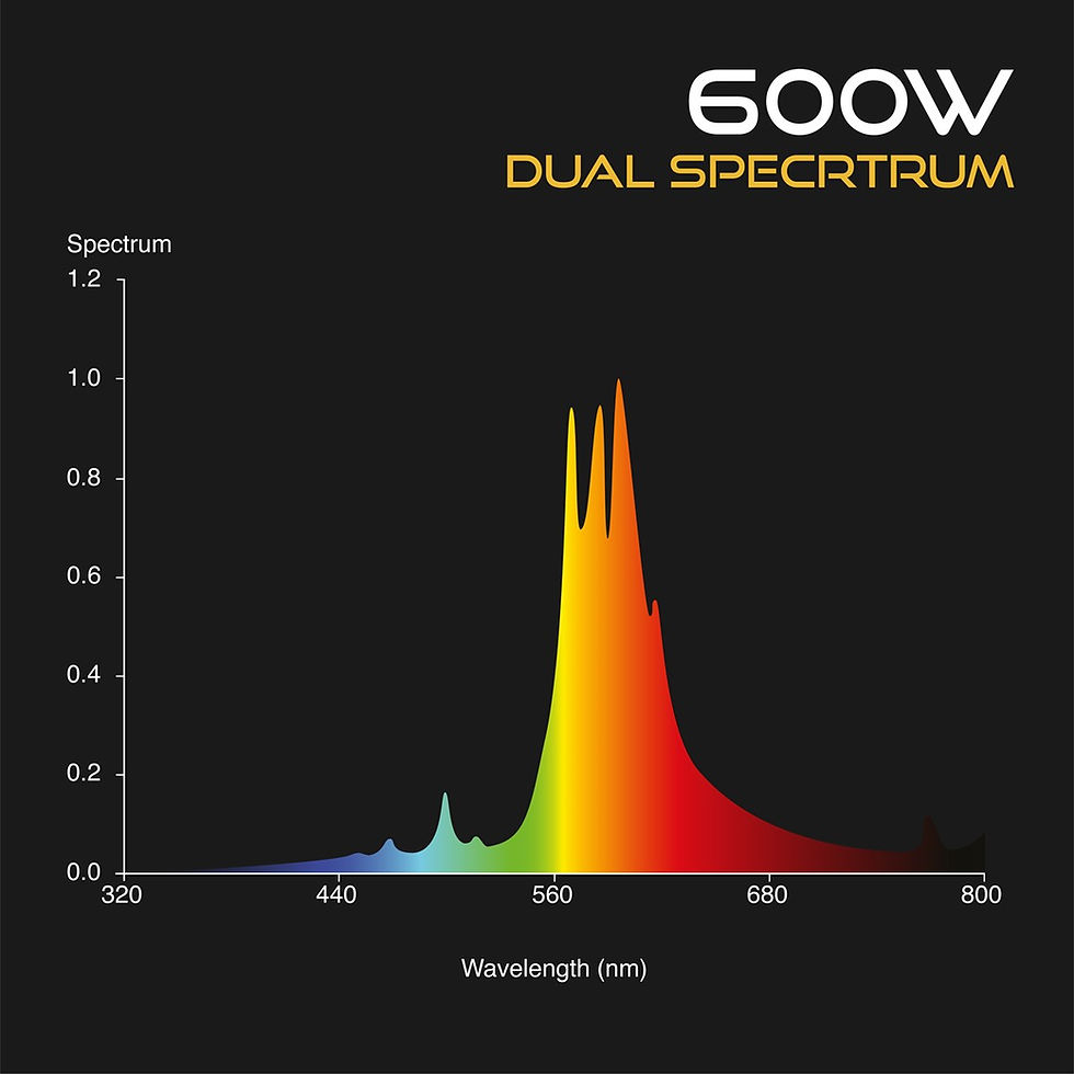 Thumbnail: Omega Dual Spectrum Lamp