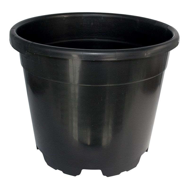 Thumbnail: Round Pots (Pack of 10)