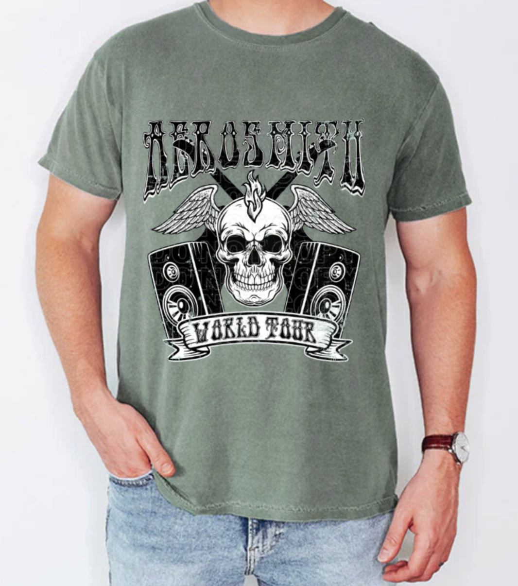 Aerosmith World Tour Comfort Color Shirt