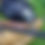 Thumbnail: Dynamic Tank Bag