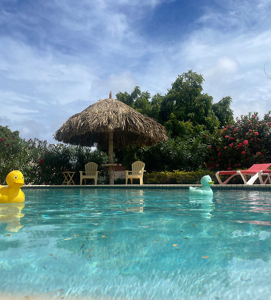 palapa bij zwembad