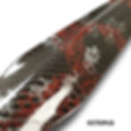Thumbnail: Volcano Doble Roller