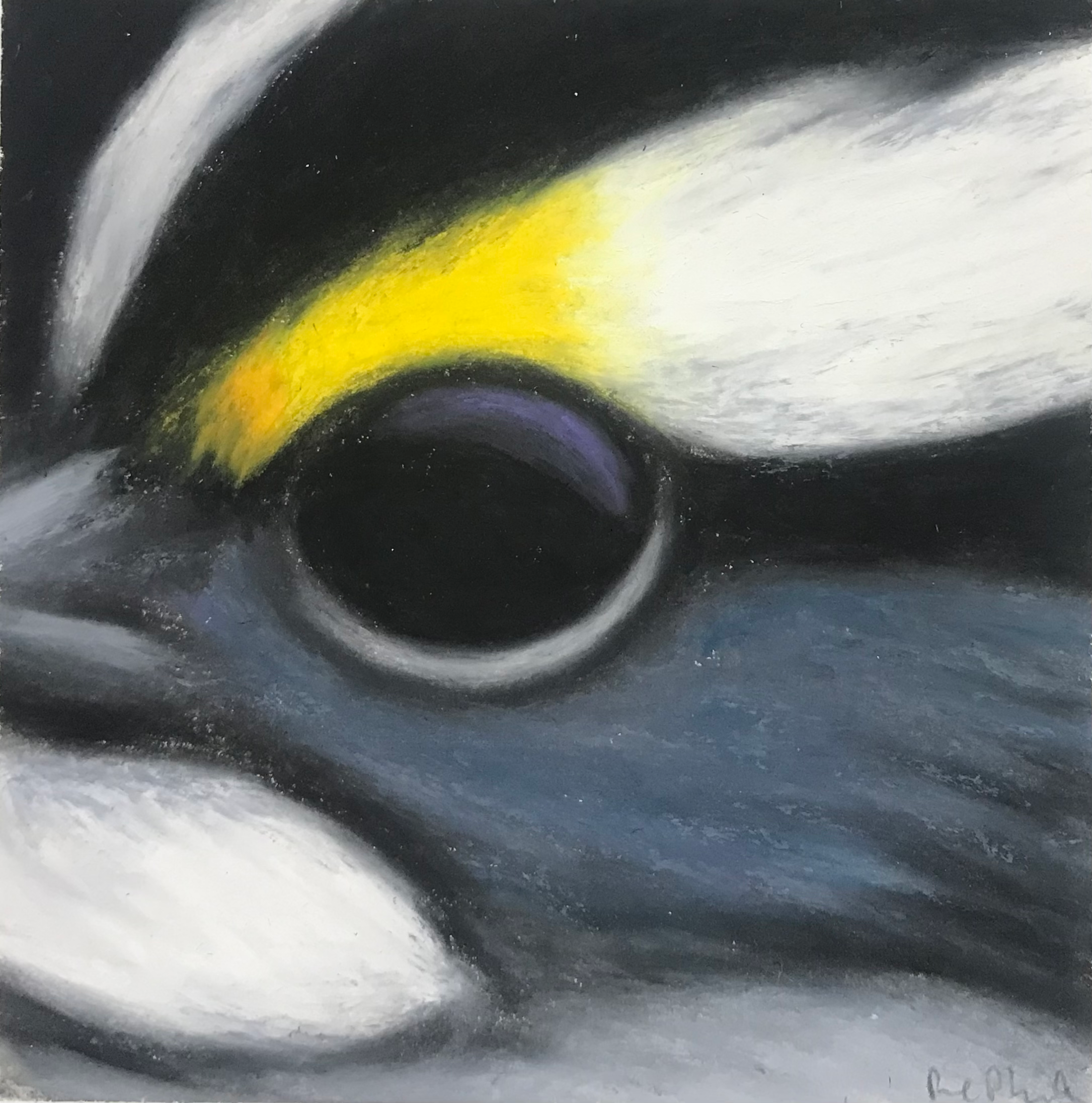 White-Throated Sparrow